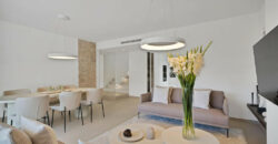 Modern 3 Bedroom Duplex Penthouse