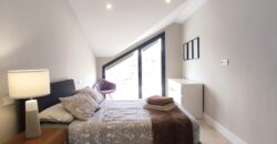 Modern Duplex Penthouse