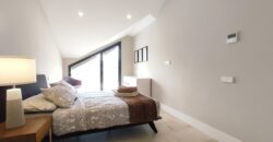 Modern Duplex Penthouse