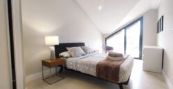 Modern Duplex Penthouse