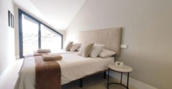 Modern Duplex Penthouse