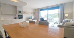 Modern Duplex Penthouse
