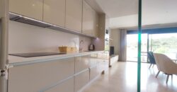 Modern Duplex Penthouse