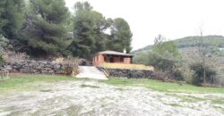 Countryside Estate for Sale Near Marbella – Between Monda and Ojén