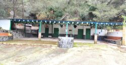 Countryside Estate for Sale Near Marbella – Between Monda and Ojén