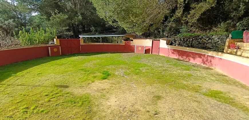 Countryside Estate for Sale Near Marbella – Between Monda and Ojén